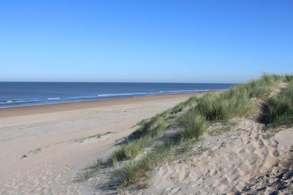 Schoon Sfeervol Souterrain Daire Katwijk aan Zee Dış mekan fotoğraf